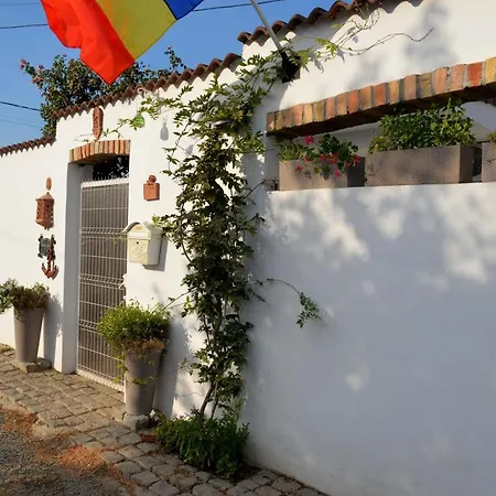 Casa Mediteraneo Ovidiu