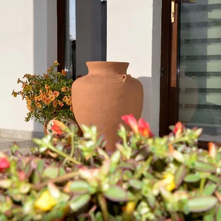 Casa Mediteraneo * Ovidiu